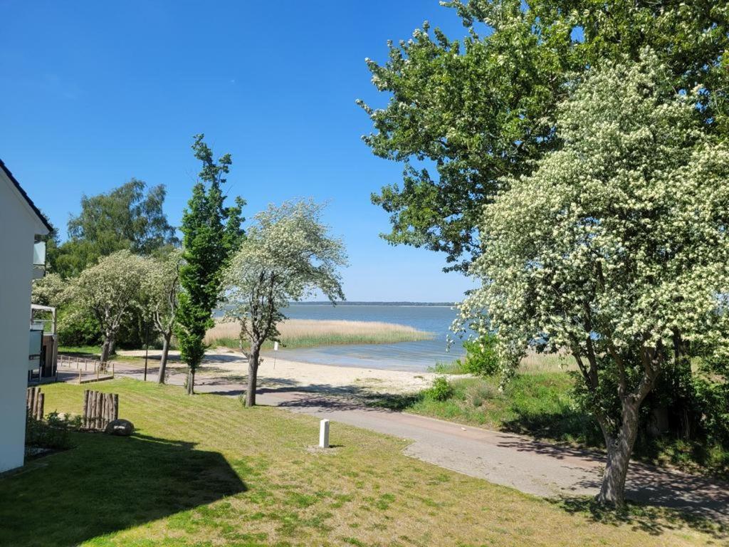 Baltic Lagoon Direkt Am